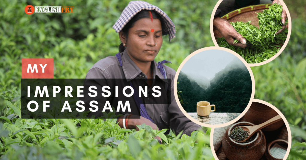 My Impressions of Assam