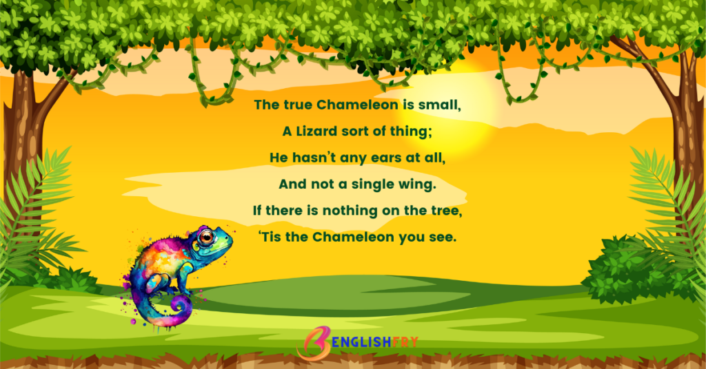 how to tell wild animals stanza wise explanation stanza 6