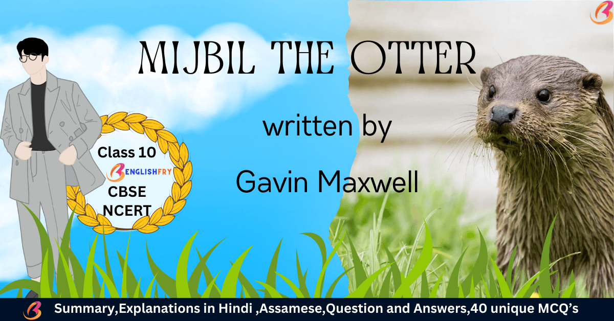 Mijbil The Otter Question And Answers