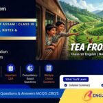 Tea from Assam Class 10 Summary